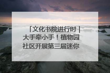 文化书院进行时｜大手牵小手！植物园社区开展第三届迷你马拉松活动