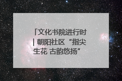 文化书院进行时｜朝阳社区“指尖生花 古韵悠扬”公益课堂开课了