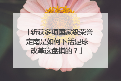 斩获多项国家级荣誉 定南是如何下活足球改革这盘棋的？