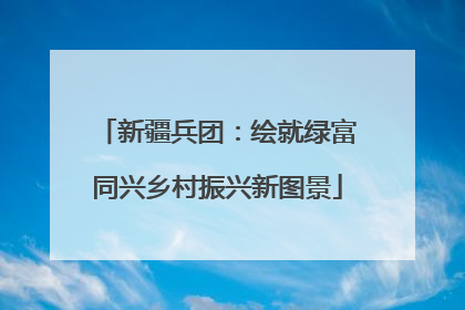 新疆兵团：绘就绿富同兴乡村振兴新图景
