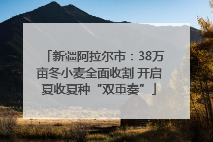 新疆阿拉尔市：38万亩冬小麦全面收割 开启夏收夏种“双重奏”