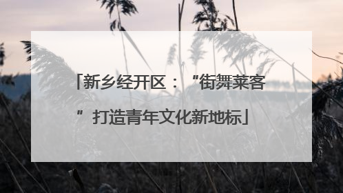 新乡经开区：“街舞莱客”打造青年文化新地标