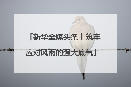 新华全媒头条丨筑牢应对风雨的强大底气