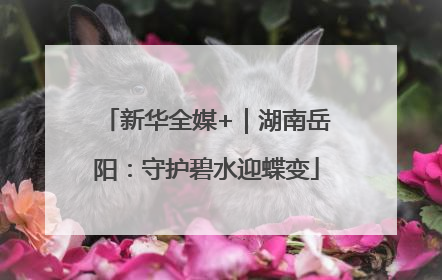 新华全媒+｜湖南岳阳：守护碧水迎蝶变