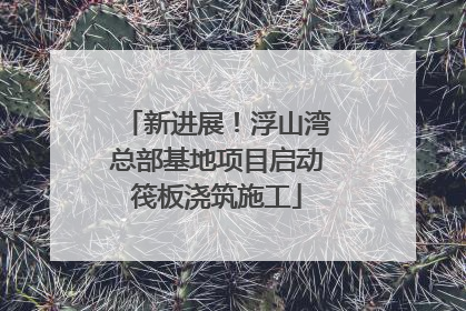 新进展！浮山湾总部基地项目启动筏板浇筑施工