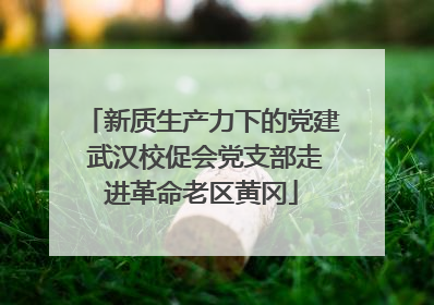 新质生产力下的党建 武汉校促会党支部走进革命老区黄冈
