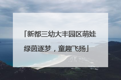 新都三幼大丰园区萌娃绿茵逐梦，童趣飞扬