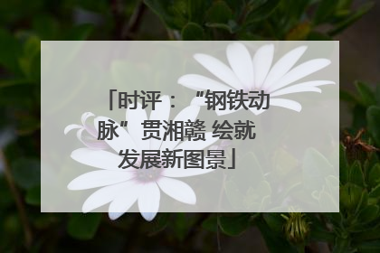 时评：“钢铁动脉”贯湘赣 绘就发展新图景
