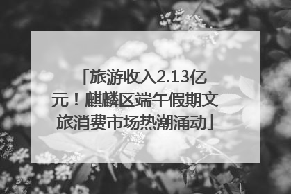 旅游收入2.13亿元！麒麟区端午假期文旅消费市场热潮涌动