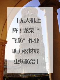 无人机上阵！龙泉“飞防”作业助力松材线虫病防治