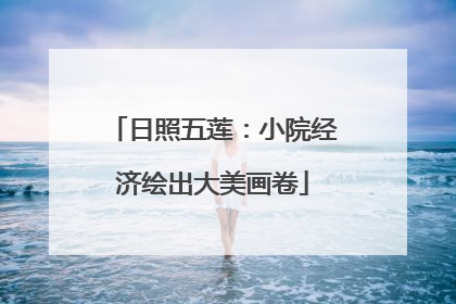 日照五莲：小院经济绘出大美画卷