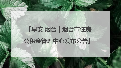 早安 烟台｜烟台市住房公积金管理中心发布公告