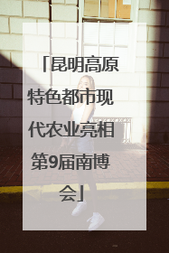 昆明高原特色都市现代农业亮相第9届南博会