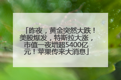 昨夜，黄金突然大跌！美股爆发，特斯拉大涨，市值一夜增超5400亿元！苹果传来大消息