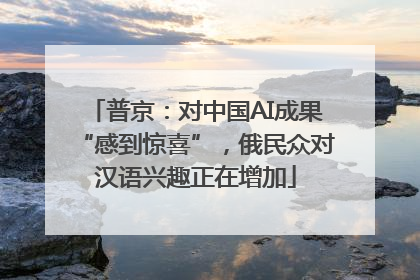 普京：对中国AI成果“感到惊喜”，俄民众对汉语兴趣正在增加