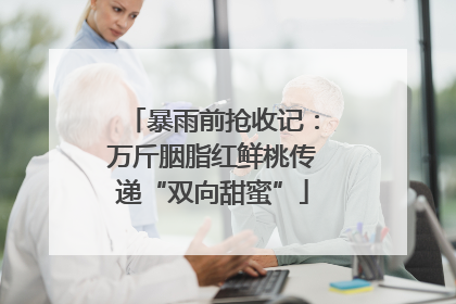 暴雨前抢收记：万斤胭脂红鲜桃传递“双向甜蜜”