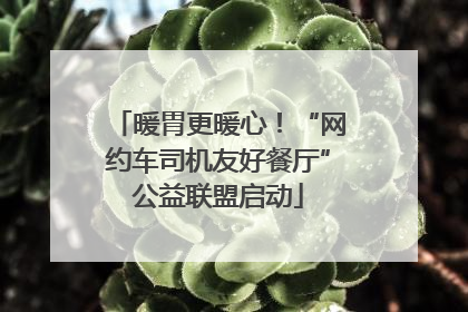 暖胃更暖心！“网约车司机友好餐厅”公益联盟启动