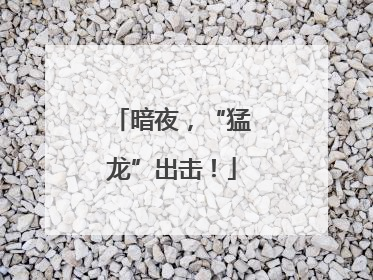 暗夜，“猛龙”出击！