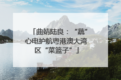 曲靖陆良：“蔬”心电护航粤港澳大湾区“菜篮子”