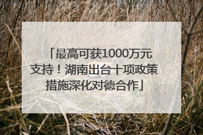 最高可获1000万元支持！湖南出台十项政策措施深化对德合作
