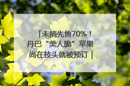 未摘先售70%！丹巴“美人脆”苹果尚在枝头就被预订｜长征路上看四川