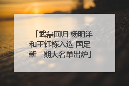 武磊回归 杨明洋和王钰栋入选 国足新一期大名单出炉