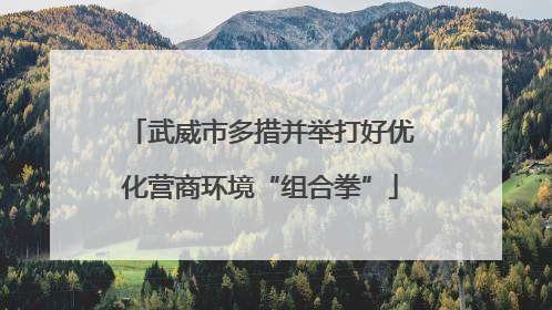 武威市多措并举打好优化营商环境“组合拳”