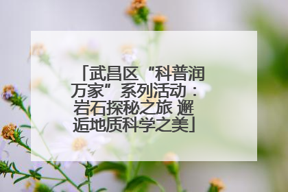 武昌区“科普润万家”系列活动：岩石探秘之旅 邂逅地质科学之美