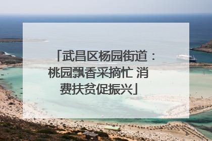 武昌区杨园街道：桃园飘香采摘忙 消费扶贫促振兴