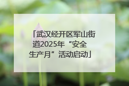 武汉经开区军山街道2025年“安全生产月”活动启动