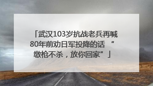 武汉103岁抗战老兵再喊80年前劝日军投降的话 “缴枪不杀，放你回家”