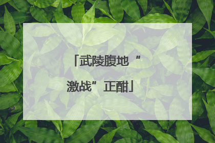 武陵腹地“激战”正酣