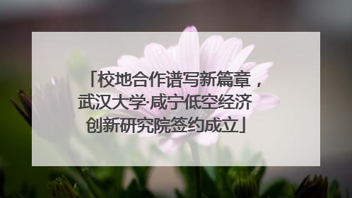 校地合作谱写新篇章，武汉大学·咸宁低空经济创新研究院签约成立