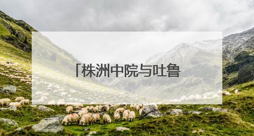 株洲中院与吐鲁番中院签订司法调研合作协议