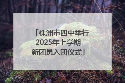株洲市四中举行2025年上学期新团员入团仪式