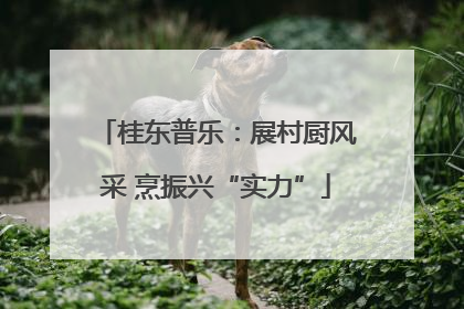 桂东普乐：展村厨风采 烹振兴“实力”