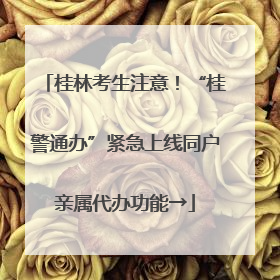 桂林考生注意！“桂警通办”紧急上线同户亲属代办功能→