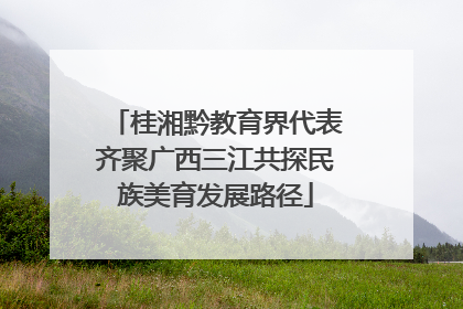 桂湘黔教育界代表齐聚广西三江共探民族美育发展路径