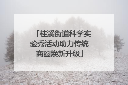 桂溪街道科学实验秀活动助力传统商圈焕新升级