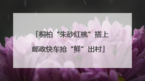 桐柏“朱砂红桃”搭上邮政快车抢“鲜”出村