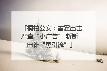 桐柏公安：雷霆出击严查“小广告” 斩断电诈“黑引流”