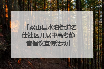 梁山县水泊街道名仕社区开展中高考静音倡议宣传活动