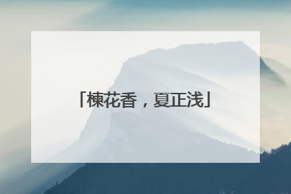 楝花香，夏正浅