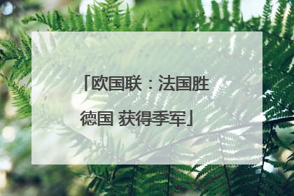 欧国联：法国胜德国 获得季军