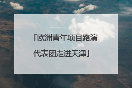欧洲青年项目路演代表团走进天津