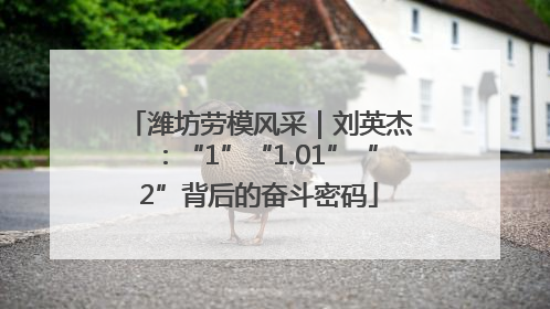 潍坊劳模风采｜刘英杰：“1”“1.01”“2”背后的奋斗密码