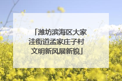 潍坊滨海区大家洼街道孟家庄子村文明新风展新貌