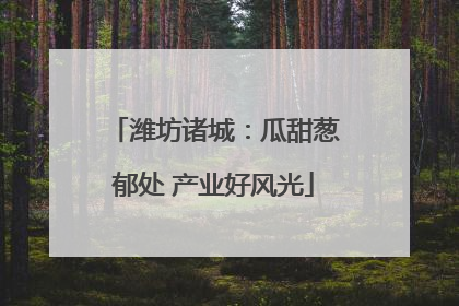 潍坊诸城：瓜甜葱郁处 产业好风光