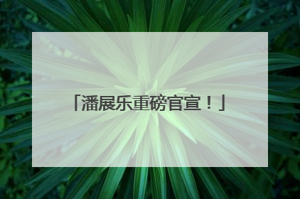 潘展乐重磅官宣！