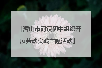 潜山市河镇初中组织开展劳动实践主题活动